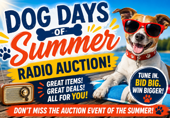 Summer Dog Days Auction